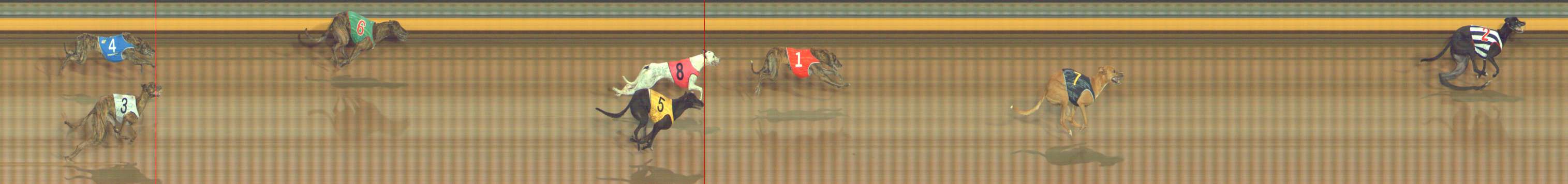 Race result finish photo